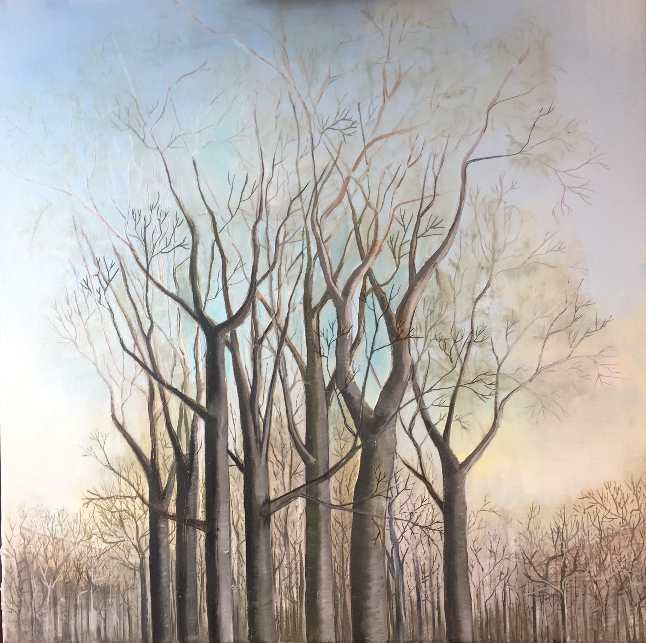 MORNING (2018) Öl auf Leinen, 50cm x 50cm